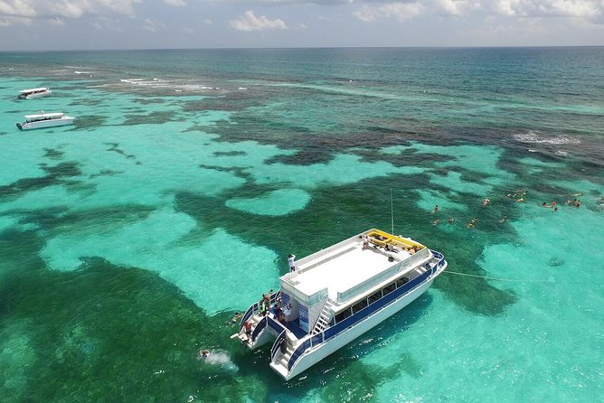Contoy Island Exclusive Tour With Snorkeling and Isla Mujeres  - Cancun - Reviews