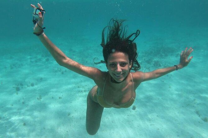 Contoy Reef & Isla Mujeres Tour! From Cancun & Playa del Carmen - Who Is This Tour Best For?