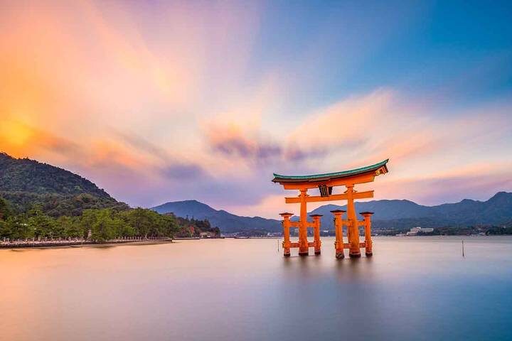 Contrasts of Japan end Tokyo by Europamundo - 10-Day Tour (2026-27 Departures) - Kyoto: the big sights in a single day