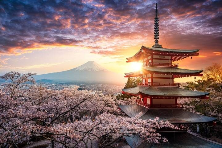 Contrasts of Japan end Tokyo GO 10-Day Tour by Europamundo - Kyoto: a full day, and plenty to take in