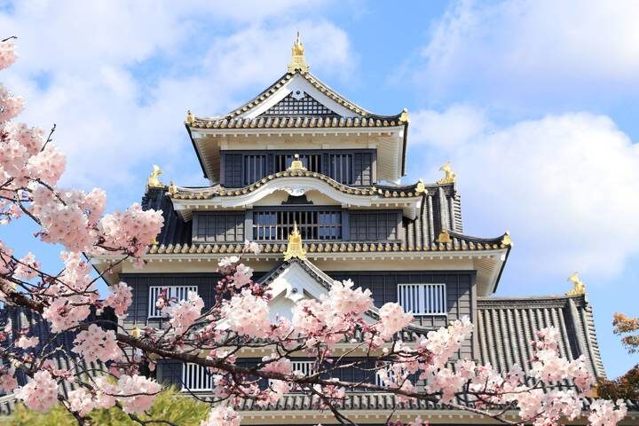 Contrasts of Japan end Tokyo GO 10-Day Tour by Europamundo - Nara and Osaka: Buddha, deer and neon