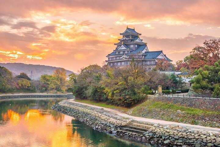 Contrasts of Japan end Tokyo GO 10-Day Tour by Europamundo - The bullet train back and the value of the package