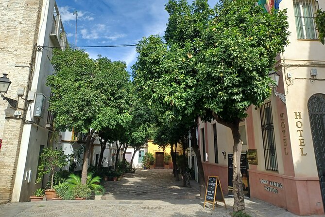 Contrasts of Seville - Entrance Fees and Bottled Water Included