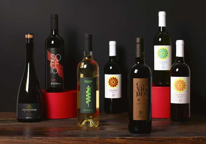 Conversano: wine tasting tour in the winery - Introduction