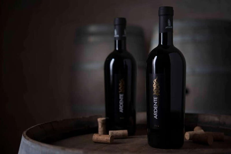 Conversano: wine tasting tour in the winery - Good To Know