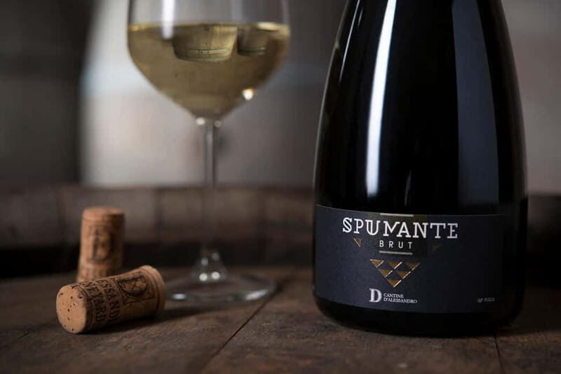 Conversano: wine tasting tour in the winery - The Experience in Context