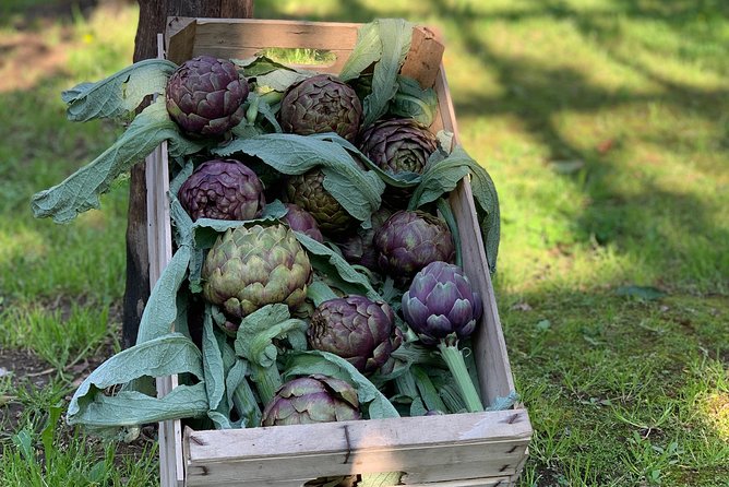 Cook and Eat in the Citrus Grove in Sorrento - Visuals and Photos