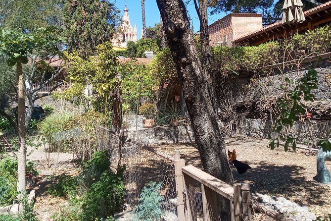 Cook & Dine Make Authentic Mexican Mole and Salsas in San Miguel De Allende - Background