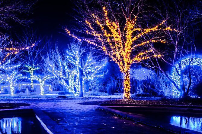 Cookeville Christmas Lights Luxury Tour in the RoadStallion - Exploring the Cookeville Christmas Lights Luxury Tour in the RoadStallion