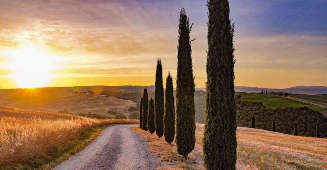 Cooking Art Brunelleschi in Tuscany - Pricing and Inclusions