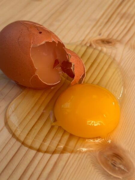 Cooking Art Brunelleschi in Tuscany - Cancellation Policy