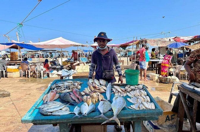 Cooking Class and Market Visit in Negombo - Good To Know