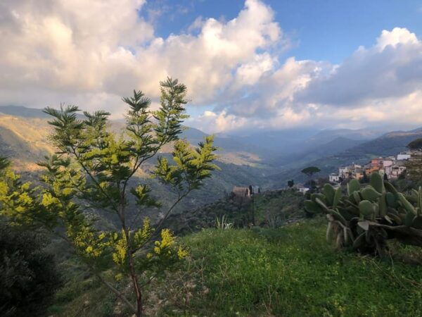 Cooking Class at the Country, View on the Sea and Mountains - Logistics and Meeting Points