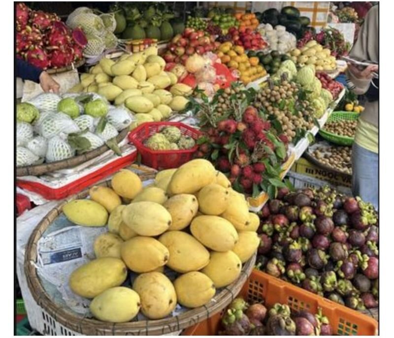 Cooking Class, Coconut Forest Basket Boat & Hoi An Memories Show - A Hoi An afternoon with three distinct sides