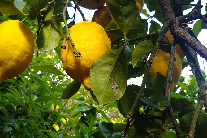 Cooking Class in Capri for Small Groups - Location and Meeting Point