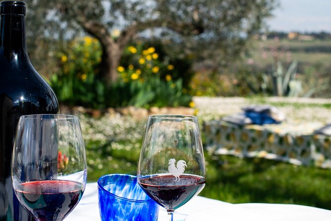 Cooking Class in Chianti Countryside - The Sum Up