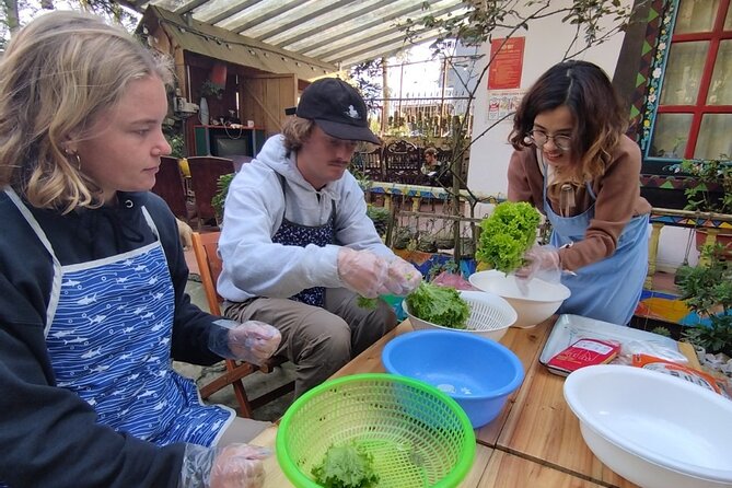 Cooking Class in Sa Pa With Local Chef - Menu and Food Offerings