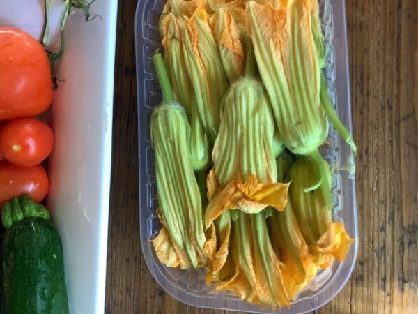Cooking Class in the Tropea Countryside - The Sum Up