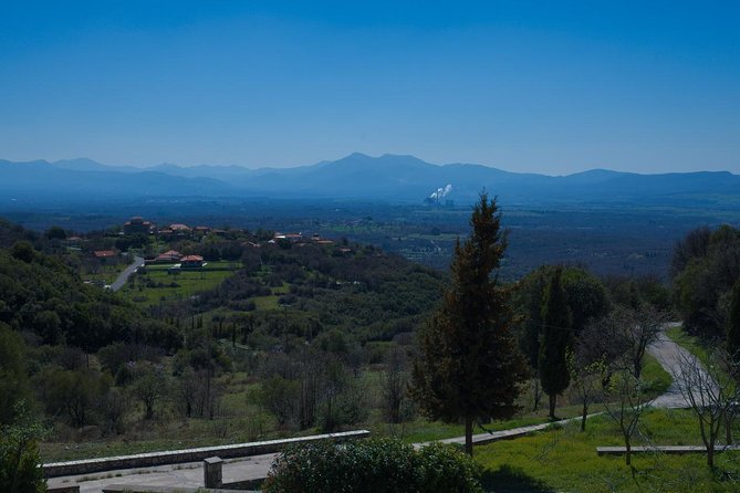 Cooking Class & Lunch in an Agrotourism Unit in Arcadia, Greece! - Experience Highlights