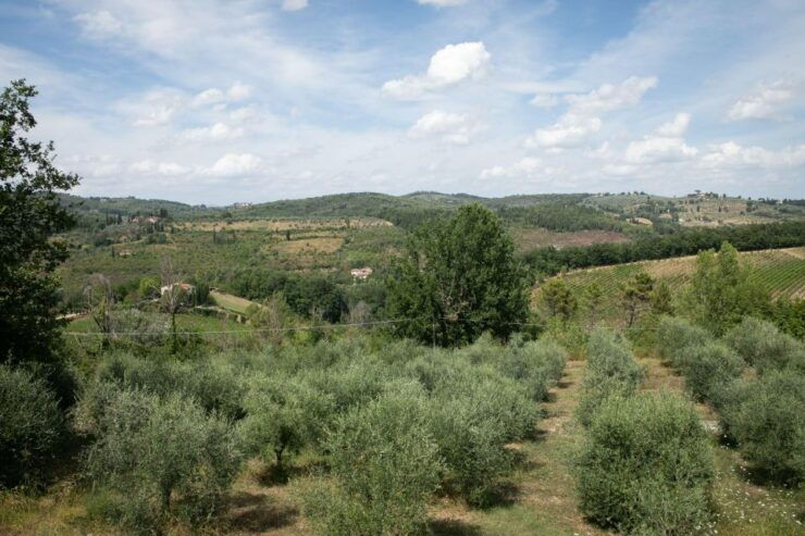 Cooking Class on Terrace at Fattoria Del Chianti With Lunch - Pricing and Duration