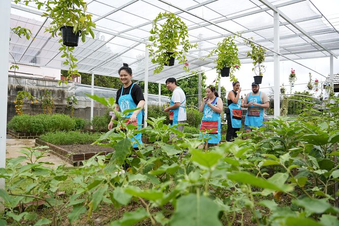 Cooking Class With Organic Farm in Chiang Mai at Mama Noi - Booking and Logistics