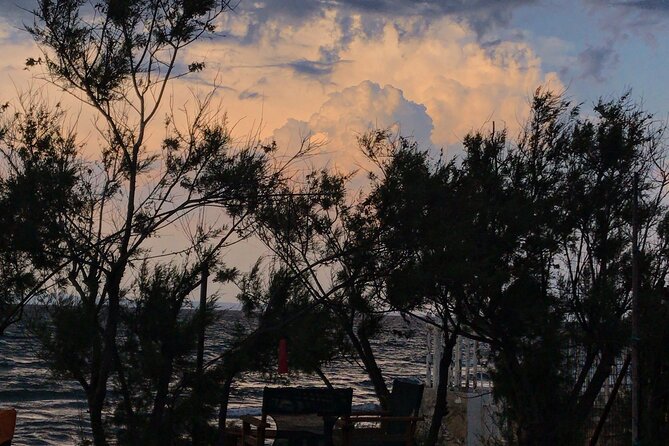 Cooking Classes by the Sea - Reviews and Pricing