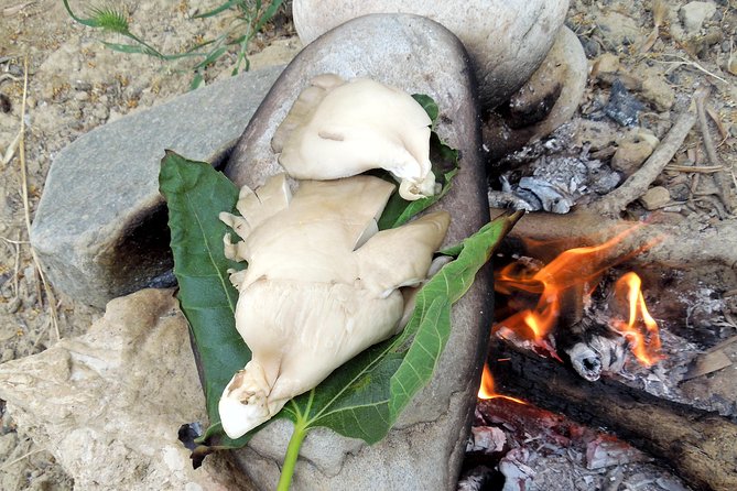 Cooking in Ancient Greece - Experience a Half-Day Cooking Lesson