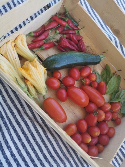 Cooking in the Countryside - Experience Highlights