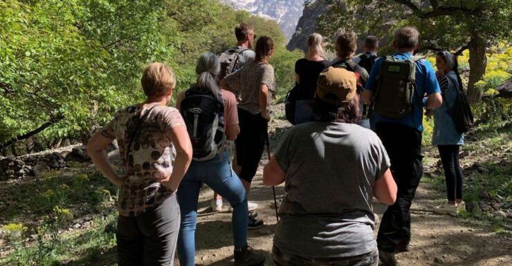 Cooking in the Mountains: A Culinary Adventure in Imlil - Activity Highlights