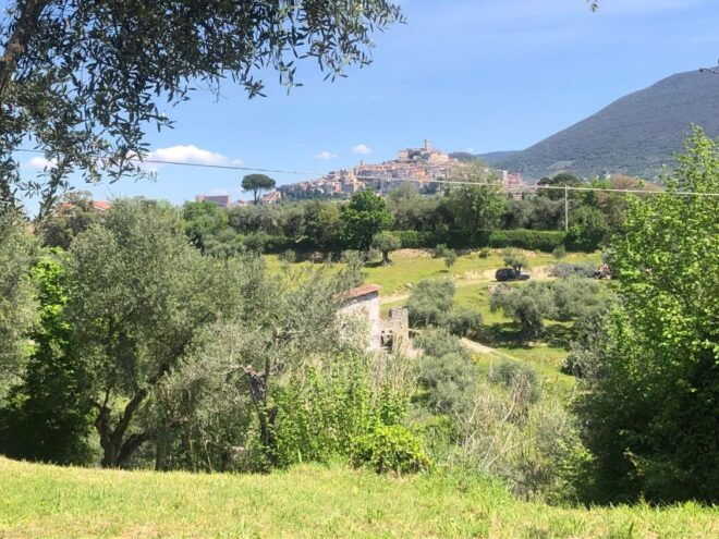 Cooking on the Hills - Immerse Yourself in Local Flavors