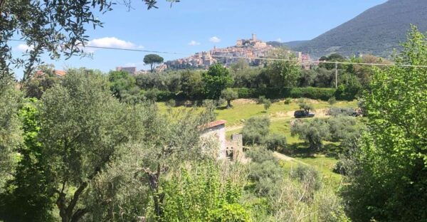 Cooking on the Hills - Cook and Dine Surrounded by Nature