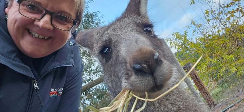 Coonawarra: Caves, Cabernet, & Kangaroos Day Tour & Lunch - Naracoorte Caves: Awe-inspiring Natural Heritage