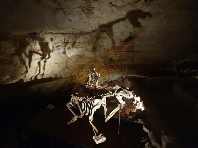 Coonawarra: Caves, Cabernet, & Kangaroos Day Tour & Lunch - Parker Estate: A Spirit Lover’s Dream