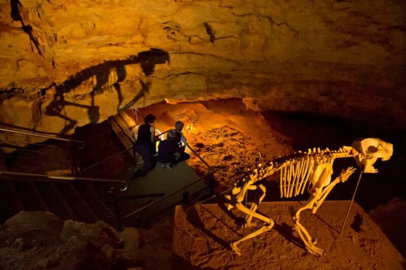 Coonawarra: Caves, Cabernet, & Kangaroos Day Tour & Lunch - The Return & Farewell