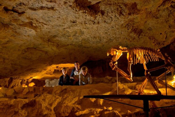Coonawarra: Caves, Cabernet, & Kangaroos Day Tour & Lunch - Activity Details