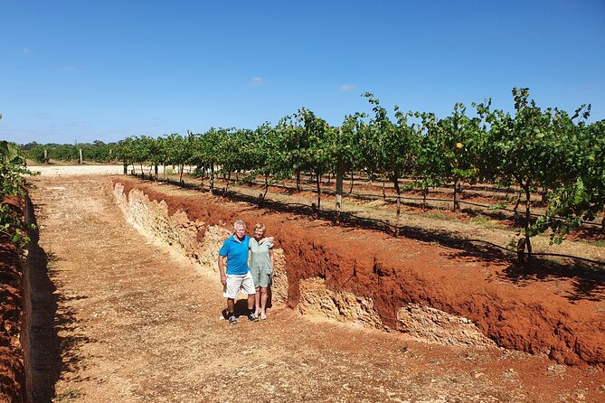 Coonawarra Half Day Wine Tour With Lunch - Host Response to Holly_Gs Review