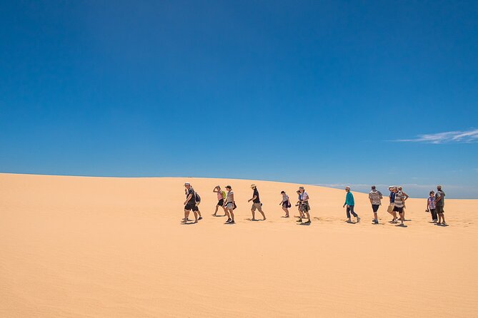 Coorong 6-Hour Adventure Cruise - Overview and Experience