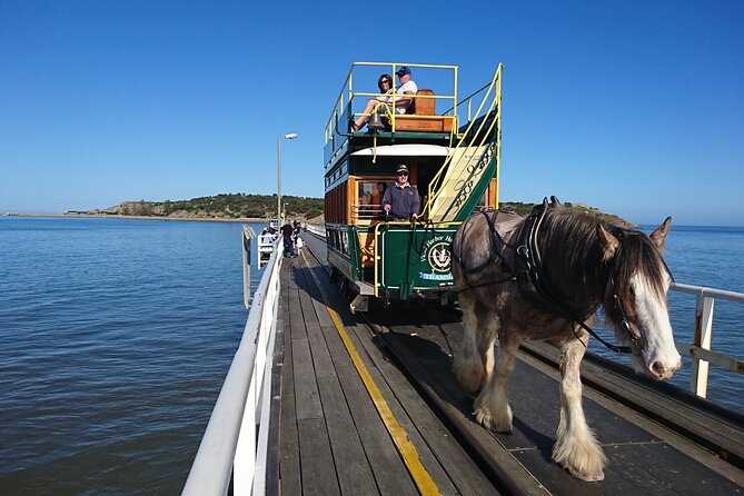 Coorong Discovery Cruise and Tour - Reviews and Ratings