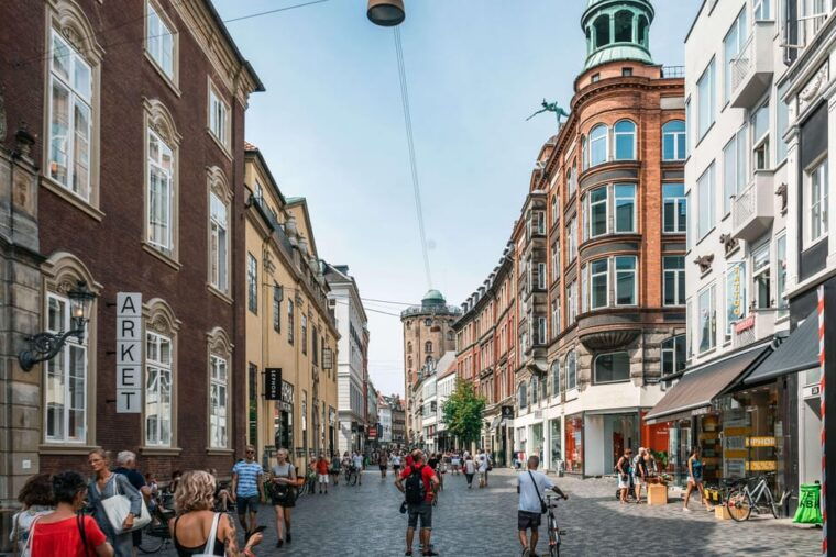 Copenhagen City & Christiansborg Palace Private Walking Tour - Who Will Love This Tour?
