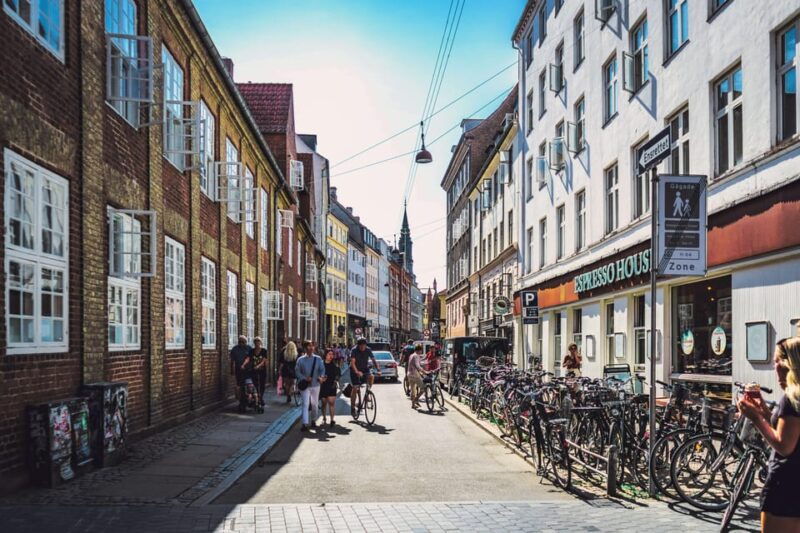 Copenhagen City & Rosenborg Castle Private Walking Tour - Good To Know