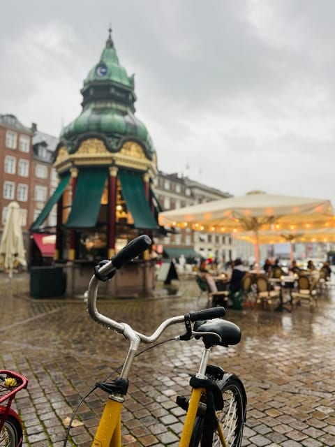 Copenhagen: City Walking Tour with a Local Guide - Practical Details and Tips