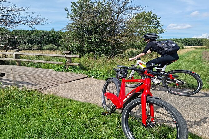 Copenhagen Forgotten Giants Private E-Bike Tour - Common Questions
