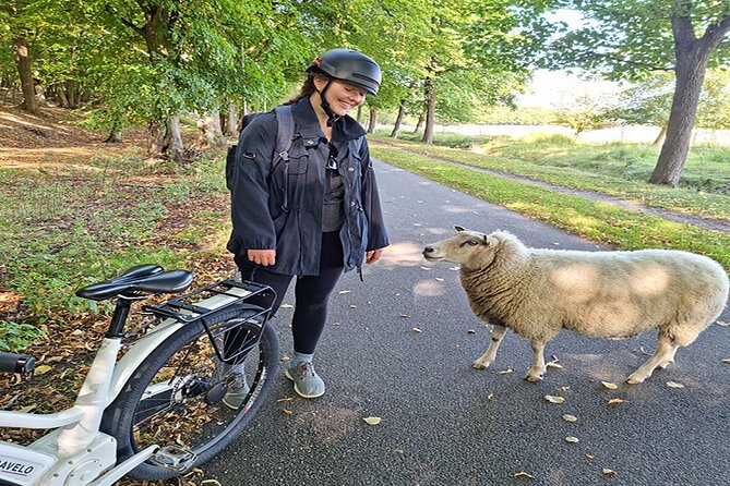 Copenhagen Forgotten Giants Private E-Bike Tour - The Sum Up