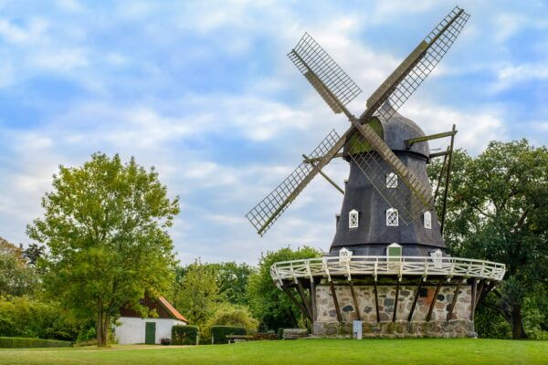 Copenhagen: Full-Day Trip to Malmö With Swedish Lunch - Traditional Swedish Cuisine Experience