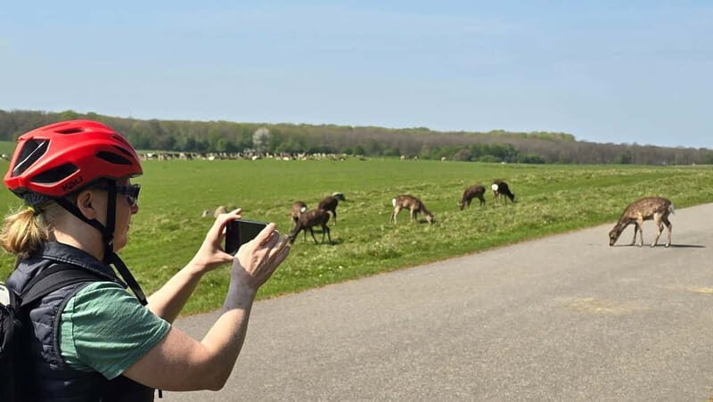 Copenhagen: Guided Tour Deer Park in Klampenborg - Final Thoughts