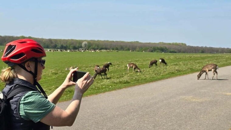 Copenhagen: Guided Tour Deer Park in Klampenborg - Who Would Love This Tour?