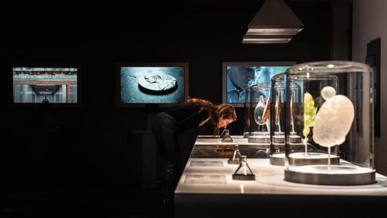Copenhagen: Home of Carlsberg Experience Entry Ticket - Who Will Love This?