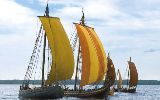 Copenhagen Kronborg Castle, Roskilde & Viking Museum Full-Day Tour with Guide - What the price includes, and what it does not