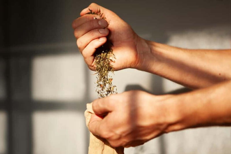 Copenhagen: Locally Brewed Kombucha Tasting Experience - What Makes This Tour Special?