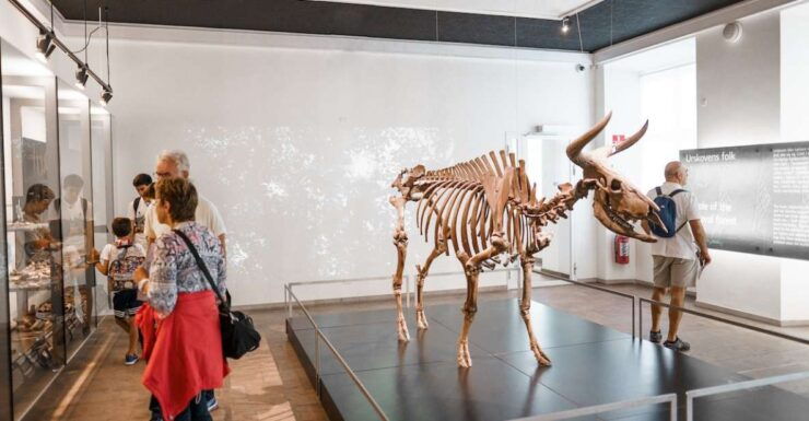 Copenhagen: National Museum of Denmark Entry Ticket - Experience Highlights